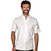 Sincler chef jacket - Isacco