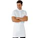 Waist apron cm 70x46 without pocket - Isacco